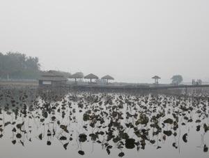 20121114-224812.jpg