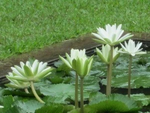 20121130-224111.jpg
