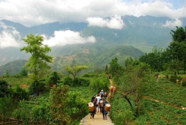 sapa village