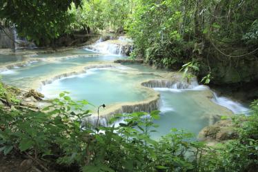 Cascading water in forest
