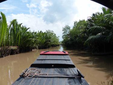 Mekong Delta