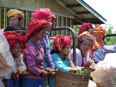Inle 105