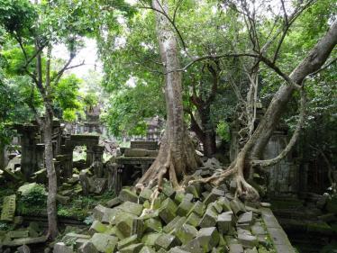 Beng Mealea
