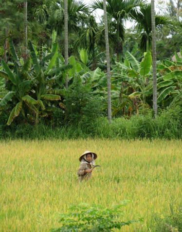 Vietnam Photo Blog