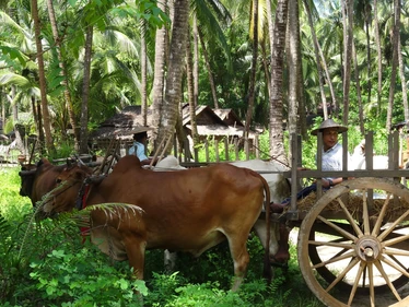 Transport