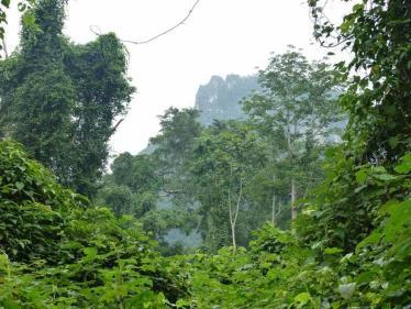 Beautiful Phong Nha National Park
