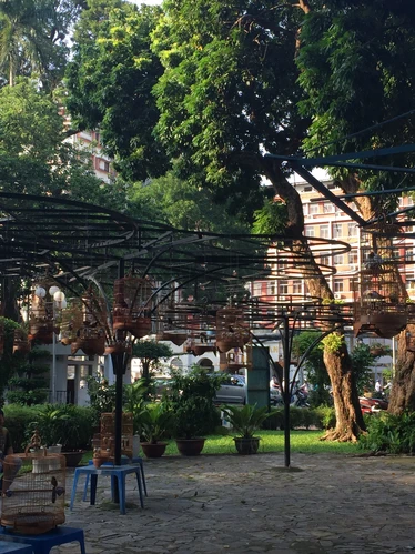 Bird watcing in Vietnam Park