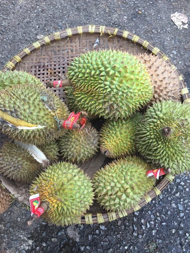 Ddurian fruit