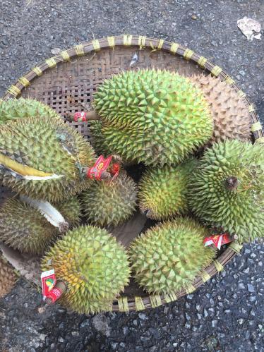 Ddurian fruit