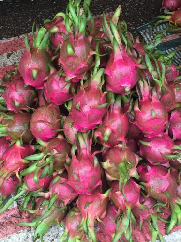 Dragon Fruit