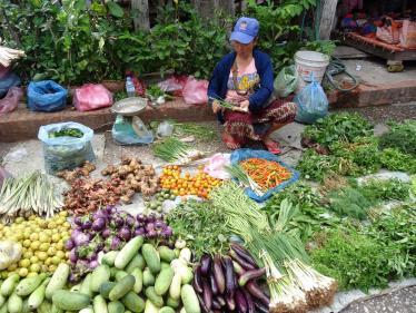 Fresh veg on sale