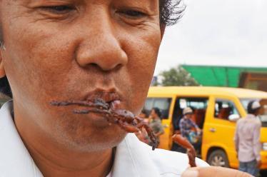 OnlyInIndochina