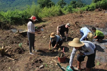 2015 11 Burma (687) - Kalaw