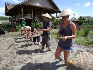 Living Land Farm - Planting Rice