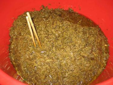 1280px-Lahpet_in_bulk