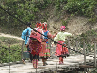 Flower Hmong