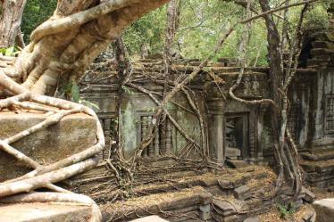 Siem Reap Province - Beng Mealea_5787