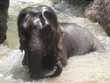 Burma trip September 2014