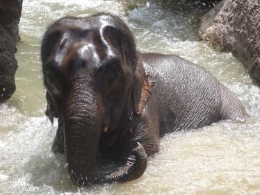 Burma trip September 2014