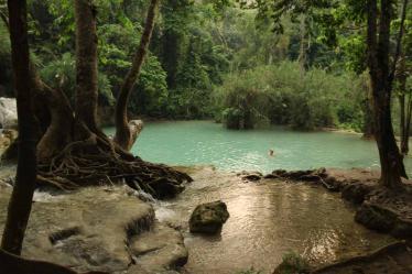 luang-prabang-kuang-si-waterfall_5394