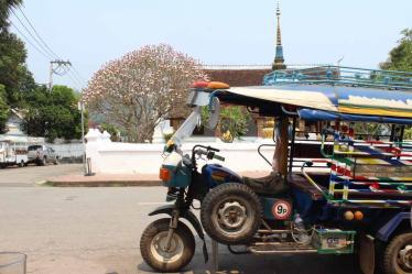 luang-prabang_5337