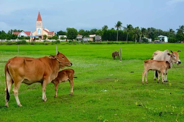 locals-hanging-out-in-the-fields