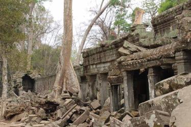 siem-reap-ta-prohm_5692