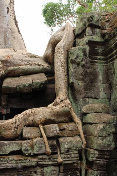 siem-reap-ta-prohm_5698
