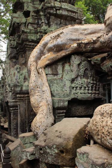 siem-reap-ta-prohm_5700