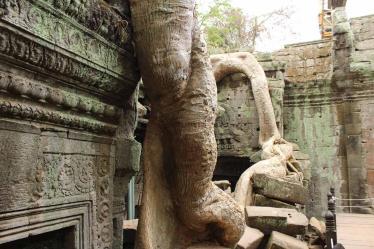 Ta Prohm