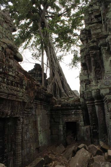 siem-reap-ta-prohm_5704