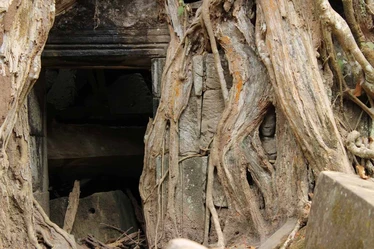 Ta Prohm