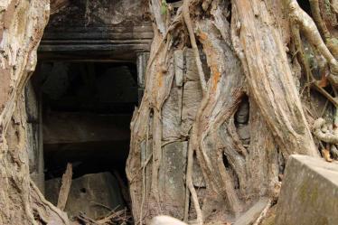 Ta Prohm