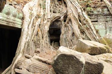 siem-reap-ta-prohm_5707