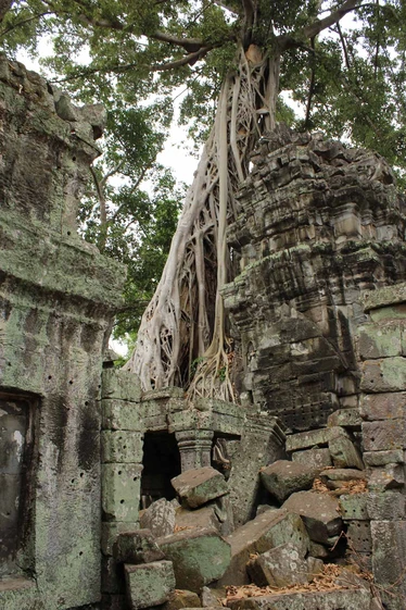 Ta Prohm