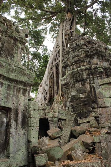 Ta Prohm