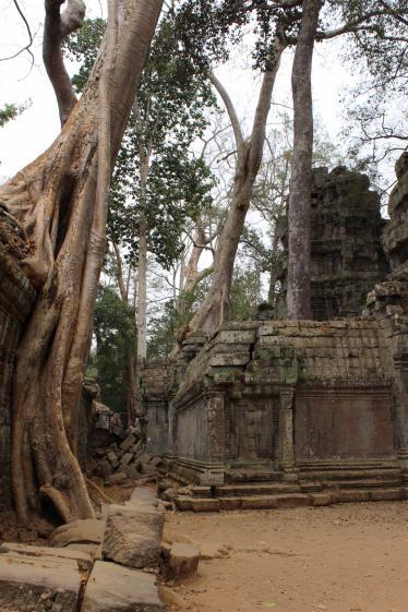 Ta Prohm