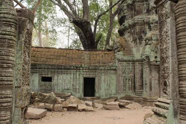 Ta Prohm