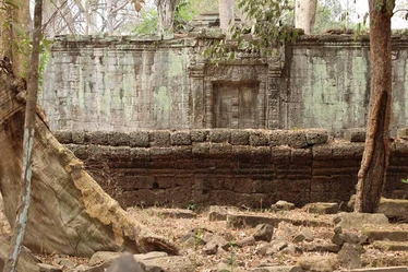 Ta Prohm