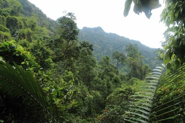 Phong Nha - Tu Lan Cave Trek_4534