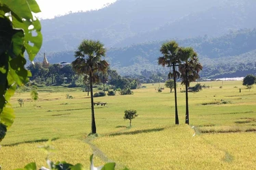 Pauk area on way back to Bagan