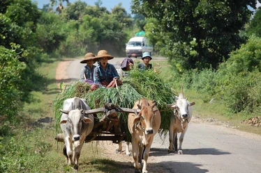 On the way to Bagan