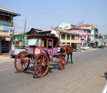 Take a horse and cart ride