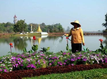 Botanical gardens