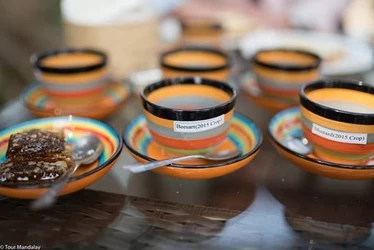Honey tasting