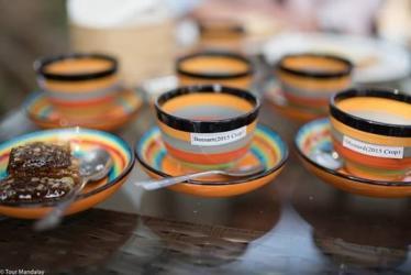Honey tasting