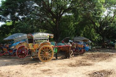 Horse carts for hire