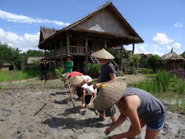 Living Land Farm (14)