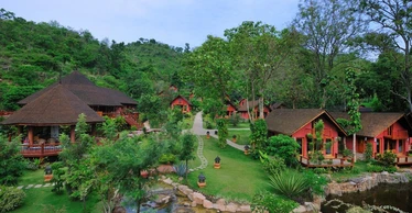 banner_pic