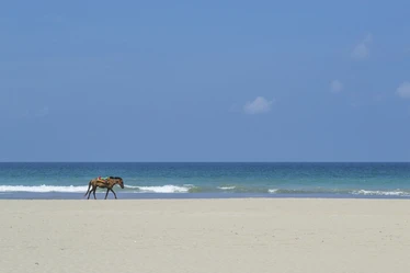 Ngwesaung Beach